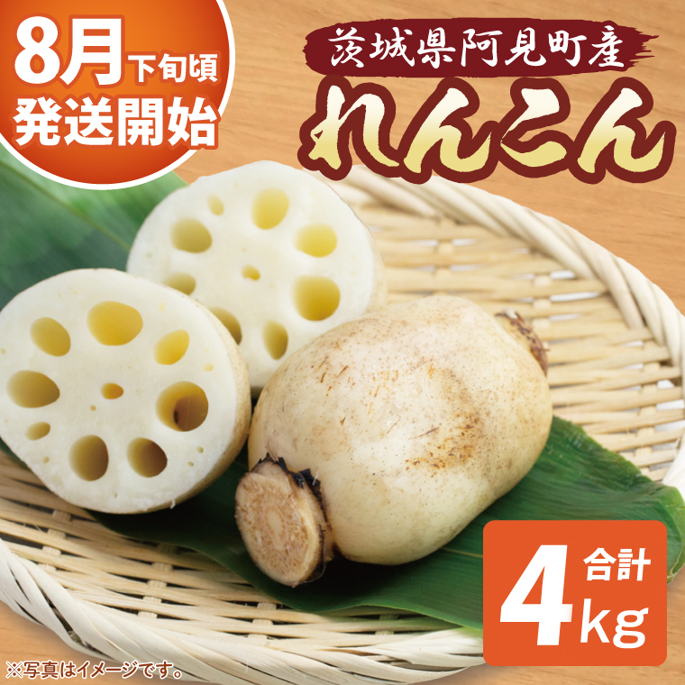 【期間限定】れんこん4kg【絶品 蓮根 レンコン 高級感 茨城県産 茨城県 阿見町】(89-02)