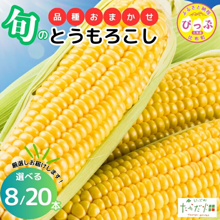 【ふるさと納税】【2026年7月下旬頃発送】とうもろこし 品種おまかせ 【たかだ畑】選べる容量 8本/20本 あまいんです 恵味ゴールド とうもろこし スイートコーン 産地直送 詰め合わせ セット とうきび BBQ バーベキュー 甘い 北海道 比布町 ぴっぷ