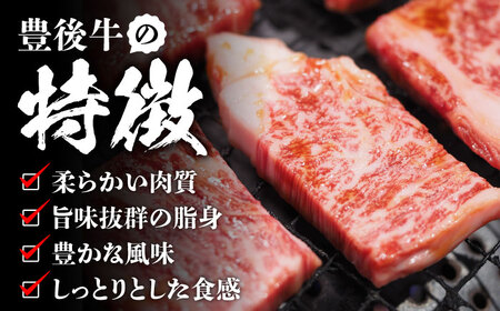 【全3回定期便】【訳あり】おおいた豊後牛 焼肉 切り落とし 500g 日田市 / 株式会社MEAT PLUS　牛 うし 黒毛和牛 和牛 豊後牛[AREI131]