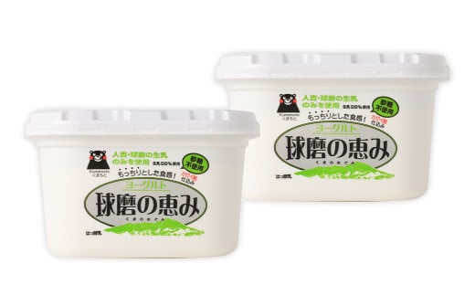 【14営業日以内発送予定】球磨の恵 ヨーグルト 砂糖不使用 1kg×2パック 合計2kg