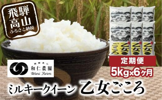 
                  【定期便 6カ月】（全6回）令和7年度産 ミルキークイーン「乙女ごころ」5kg | 米 白米 飛騨 お米 飛騨高山 和仁農園 MF100
                