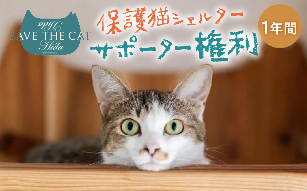 
                  保護猫シェルターサポーター 1年間 権利 SAVE THE CAT HIDA PROJECT ねこ ネコ 猫 支援 保護猫ライフ 観光 旅行 体験 ネコリパブリック
                
