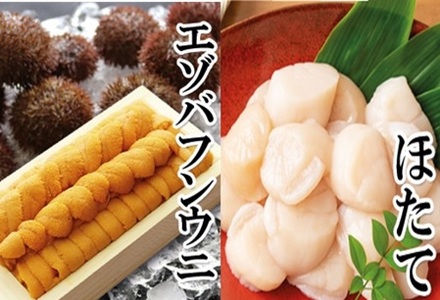 エゾバフンウニ130g×1折、お刺身ホタテ貝柱500g×1P[2027年1月中旬以降発送] D-40053