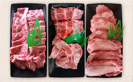 【ふるなびWEEK対象】☆数量限定☆牧場直売「淡路姫和牛」お試し焼き肉セット（カルビ・赤身・タン）