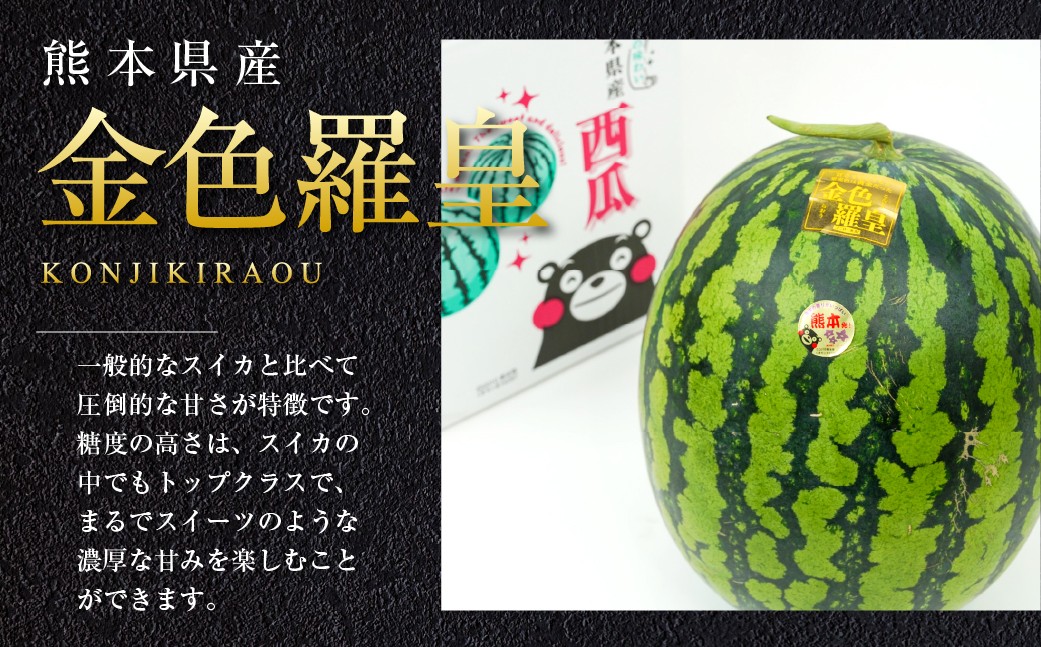 【2026年5月上旬発送開始】金色羅皇 1玉入り 3L以上 約8kg