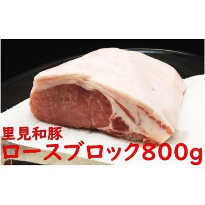 ふるさと納税 南房総市 里見和豚　とんかつ用ロースブロック800g×1パック　真空パック　白色トレイ不使用