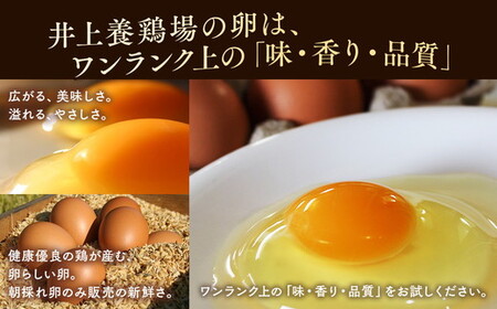 【6ヶ月定期便】平飼い有精卵 さがみっこ 30個（10個×3パック）｜たまご 平飼い 有精卵 かながわブランド認定