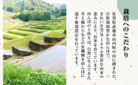 【栽培期間中農薬不使用】令和5年産 佐賀県産 伊勢ヒカリ（イセヒカリ） 玄米 5kg 武雄市/鶴ノ原北川農園[UDL003] 米 お米 玄米 玄米5kg