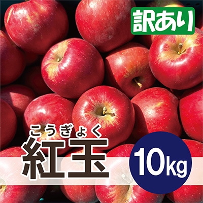 【26年1月より順次発送】 紅玉 約10kg 訳あり【配送不可地域：沖縄県】