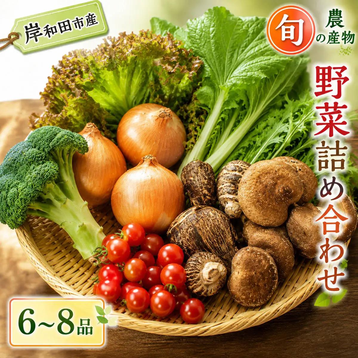 野菜詰合せ 旬の野菜セット産地直送 大阪府産 野菜詰合せ【6〜8品】
