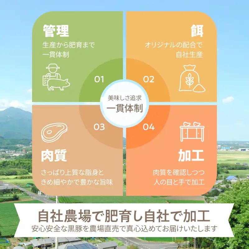 鹿児島県産 黒豚ロース しゃぶしゃぶ 500g、ロース とんかつ 4枚 KN054-020 肉 豚肉