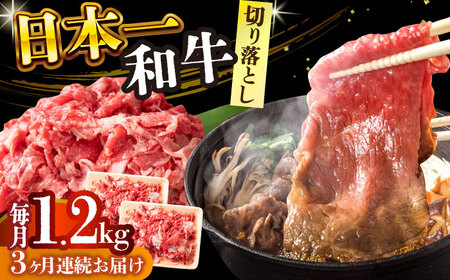 【全3回定期便】【A4～A5】長崎和牛切り落とし　1.2kg(600g×2p）【株式会社 MEAT PLUS】[DBS058]