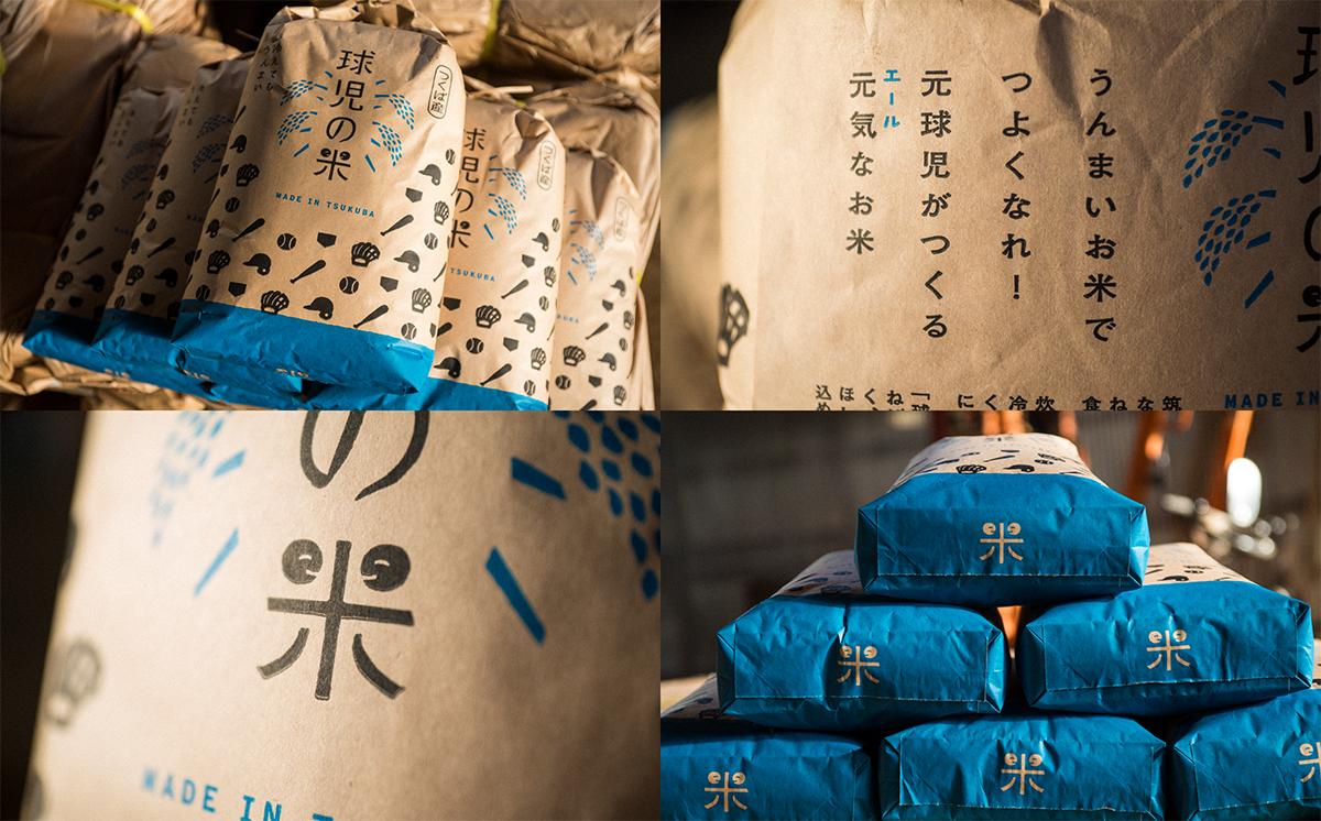 令和7年産 一等米 球児の米 （ ミルキークイーン精米 ） 10kg | 米 こめ コメ お米 ご飯 5kg 10kg 20kg 30kg 精米 白米 ミルキークイーン 新米 おすすめ 茨城県 つくば