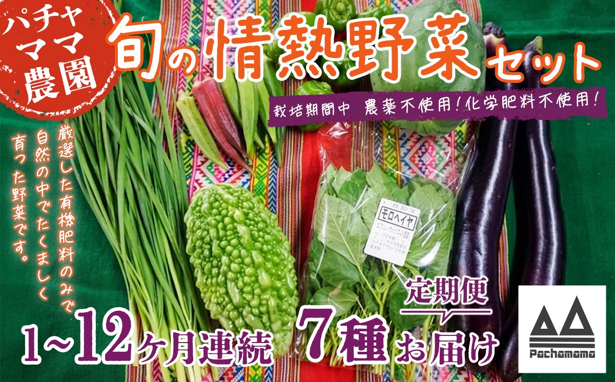 
                  【 選べる お届け回数 】 農園自慢の情熱野菜セット （ 7品 ）【 定期便 野菜 詰め合わせ お任せ 季節物 セット 山芋 パセリ わさび菜 ポップコーン かぶ 人参 里芋 たまねぎ 玉ねぎ ルッコラ ほうれん草 春菊 大根 芽キャベツ レタス じゃがいも さつまいも とうもろこし そら豆 枝豆 パクチー ビーツ ほうれん草 キャベツ ピーマン なすトマト かぼちゃ 】 
                
