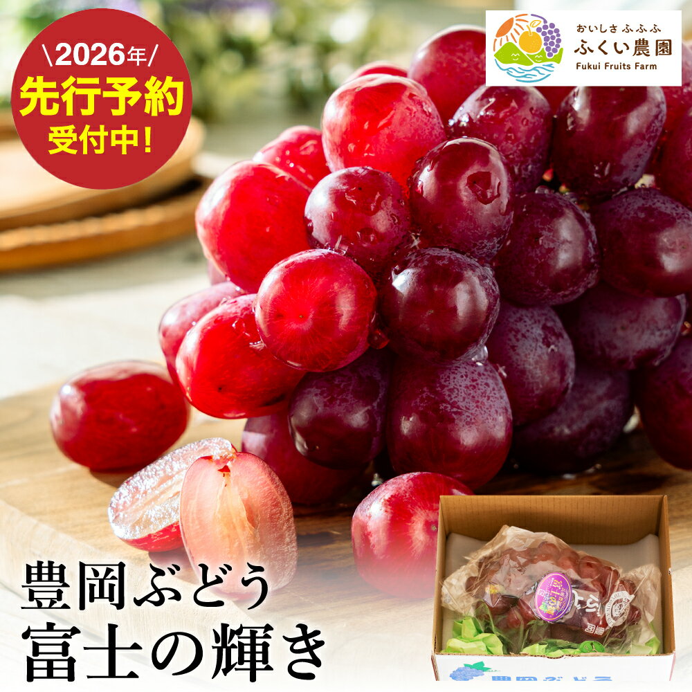 【ふるさと納税】富士の輝き 600g 大粒 減農薬 豊岡ぶどう / 富士の輝 富士のかがやき 糖度20～23前後 甘い 豊岡ブドウ 産地直送 濃厚 甘味 コク 皮ごと 食べれる ぶどう ブドウ 葡萄 果物 くだもの フルーツ ふくい農園