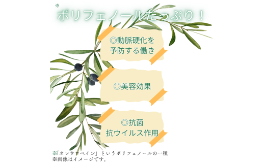 匝瑳オリーブ 千朋園　オリーブ茶　1袋 30g（2g×15パック） ／ お茶 オリーブ茶 オリーブ オレウロペイン ポリフェノール ティーバッグ