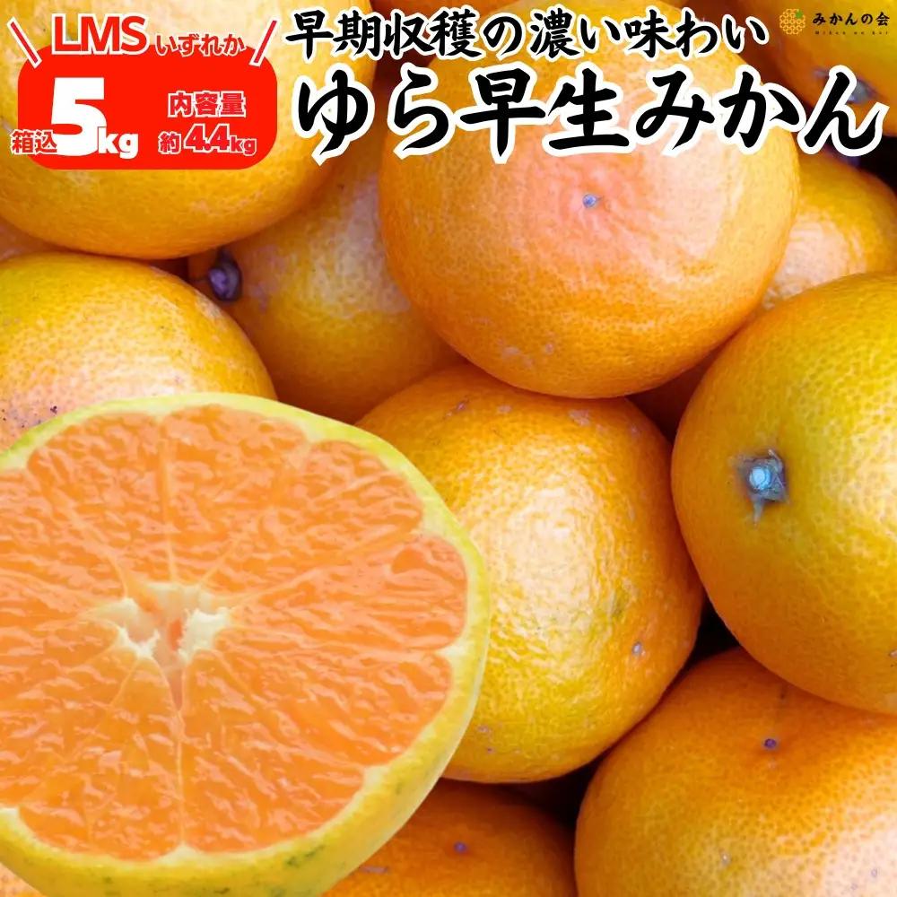 ゆら早生 みかん 箱込5kg(内容量 4.4kg) SMLサイズのいずれか 秀品 優品 混合 有田みかん 和歌山県産 【みかんの会】［2026年10月下旬頃より順次発送予定］