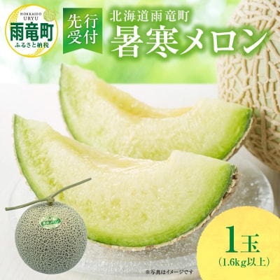 【令和6年産先行受付】北海道産 暑寒メロン 1玉 (1.6kg以上×1箱) 《2024年7月より発送