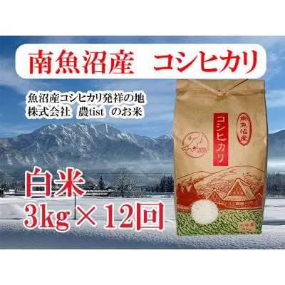 ふるさと納税 南魚沼市 【毎月定期便】南魚沼産 コシヒカリ 白米3kg全12回