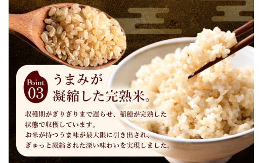 【ふるさと納税】令和8年度産 新米 玄米 ひのひかり 2kg 自然栽培 農薬不使用 米 お米 国産 ご飯 ごはん こめ コメ ヒノヒカリ 健康 食物繊維 腸活 ヘルシー 自然食品 ヴィーガン 家庭用 