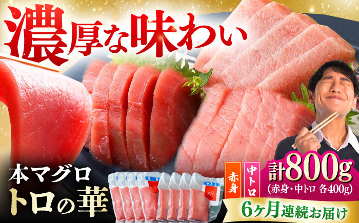【全6回定期便】対馬産 本マグロ 800g（赤身400g、中トロ400g） ≪対馬市≫【桐谷商店】 トロの華 対馬 新鮮 マグロ 赤身 トロ 鮪 刺身 [WAQ073]