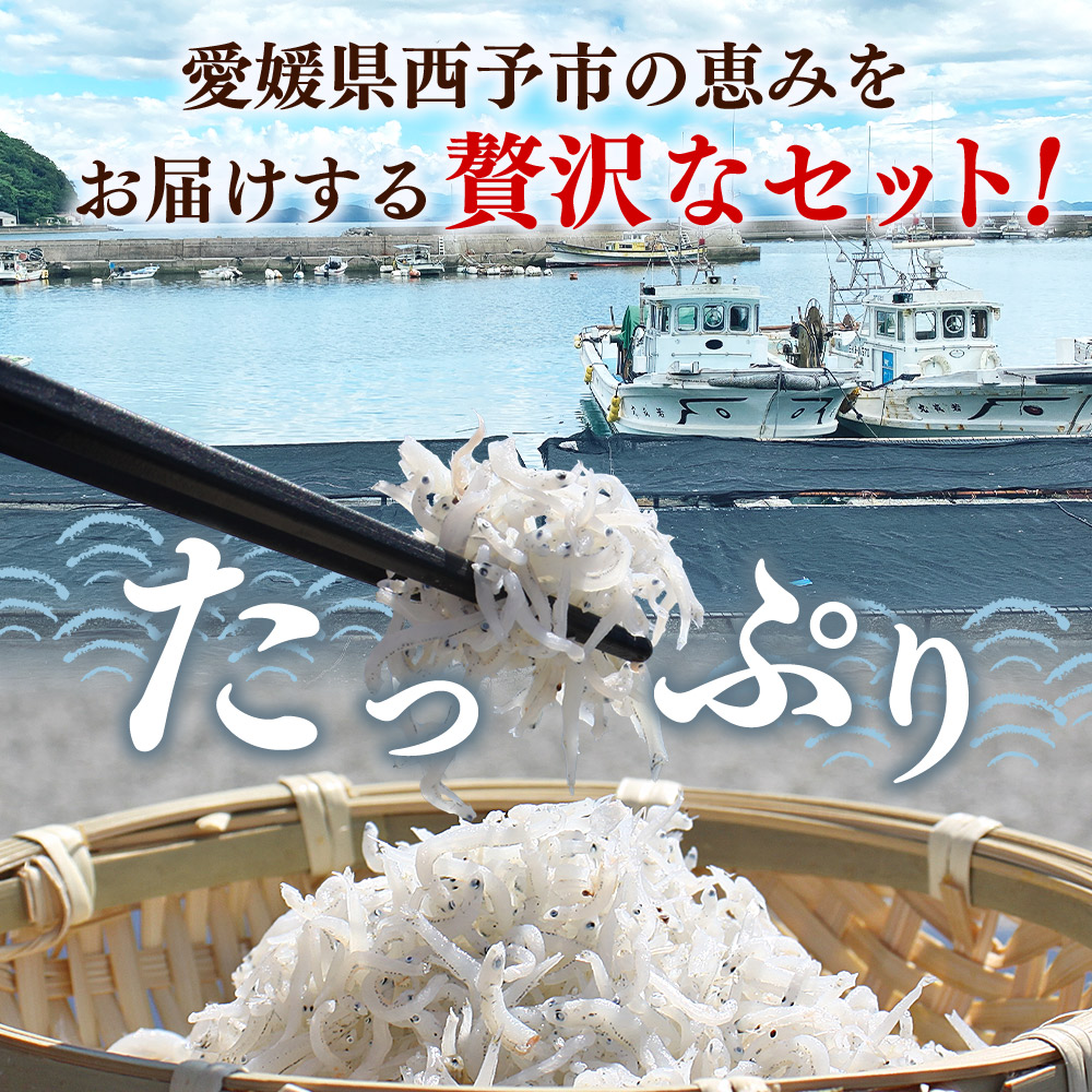 ＜ちりめん＆しらす干し お試し食べ比べセット 合計410g（ちりめん70g×3袋 しらす干し100g×2袋 ）＞ 西予市産 ちりめんじゃこ ふりかけ 詰め合わせ 詰合せ チリメン シラス 家庭用 小分