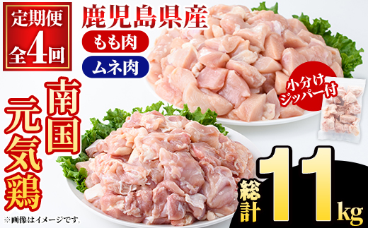 <定期便・全4回(隔月)>鹿児島県産!南国元気鶏 もも肉・ムネ肉定期便(総計11kg) 国産 九州産 鹿児島産 モモ肉 鶏モモ むね肉 胸肉 鶏ムネ 小分け 定期便 おかず おつまみ 【さるがく水産】akn028-42