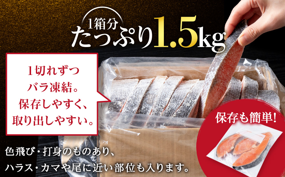 【2026年7月発送】塩銀鮭 切り身 1.5kg ＜三洋食品＞ 切身 銀鮭 塩鮭 北海道 訳あり 知内町 魚介類 しゃけ シャケ 鮭 さけ サケ 便利 食品 味付 海鮮 使い勝手抜群 カット済み ギン