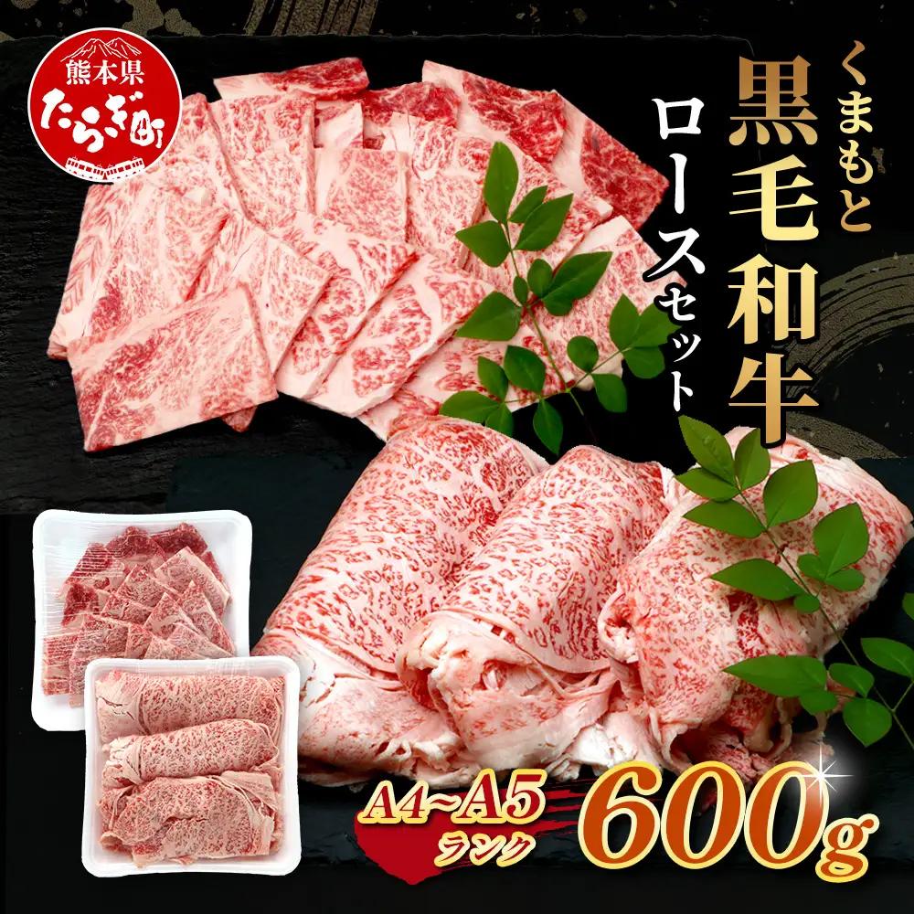 A4・A5 くまもと黒毛和牛 ロース セット 計600g ( すき焼き 300g / 焼肉 300g ) 本場 熊本県 ブランド 牛 黒毛 和牛 厳選 肉 上質 113-0506