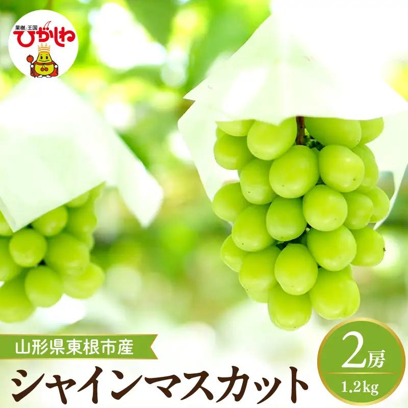 【2026年産】シャインマスカット約1.2kg (2房入) ぶどう