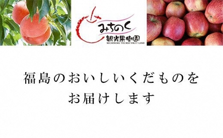 No.1924 ふくしまの葉取らずサンふじ　贈答用　約2.7kg【2025年度発送】