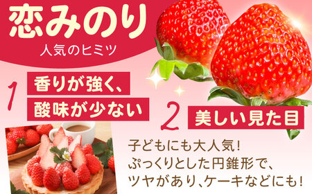 【2回定期便】南島原産 いちご 「恋みのり」約260g×4P / イチゴ 苺 フルーツ 果物 / 南島原市 / あゆみfarm[SFF002]