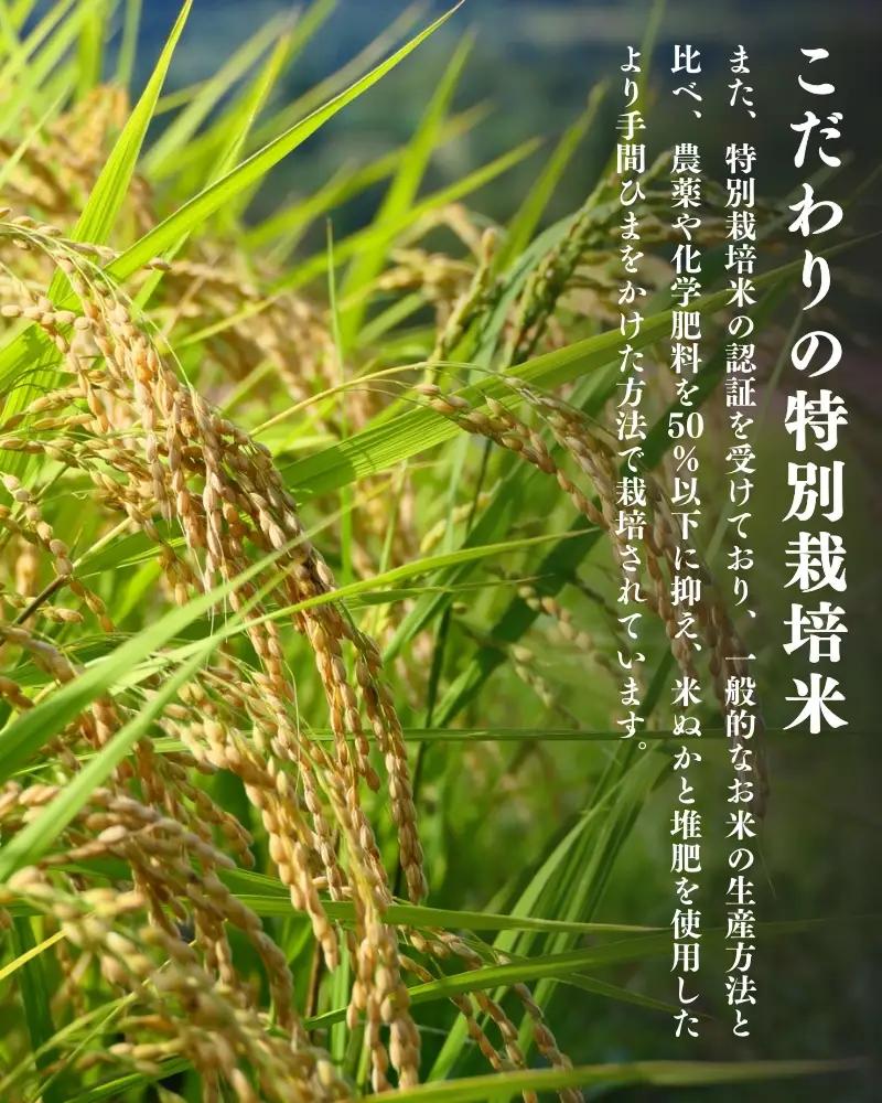 【令和8年産先行予約】【10月初旬発送】平泉町産特別栽培米 ササニシキ2kg【mih007】