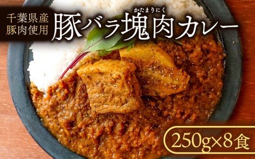 カレー 8食 豚バラ 塊肉 ポークカレー 冷凍カレー 豚肉 豚 ぶた 豚バラ肉 バラ肉 国産 ポーク 冷凍食品 冷凍 家庭用 簡単調理 こだわり 贈答 ギフト プレゼント 千葉県 旭市 ash004