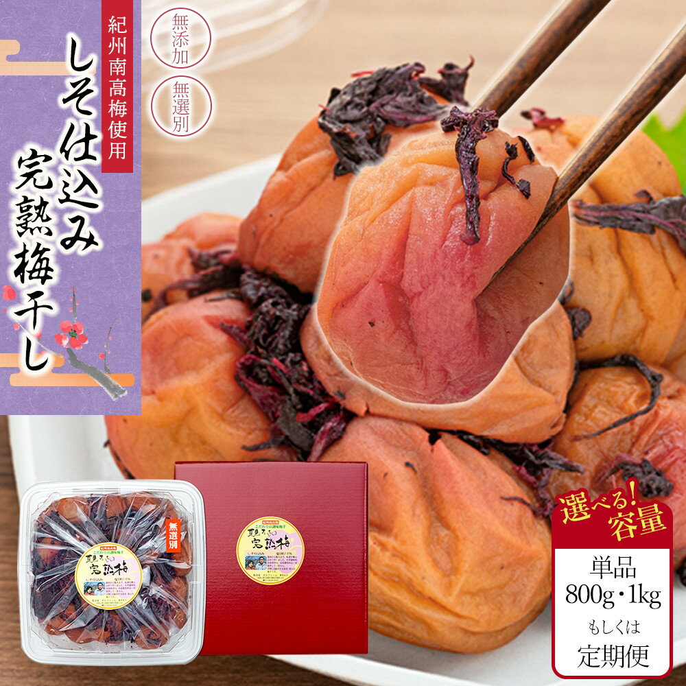 【ふるさと納税】【選べる単品・定期便・容量】紀州南高梅使用 しそ仕込み完熟梅干し 無選別