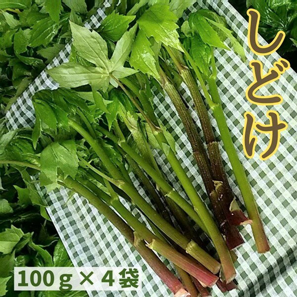 【ふるさと納税】間澤さんの愛情たっぷり「しどけ」100g×4袋 春の味覚 山菜 季節限定 山の恵 新鮮 採れたて