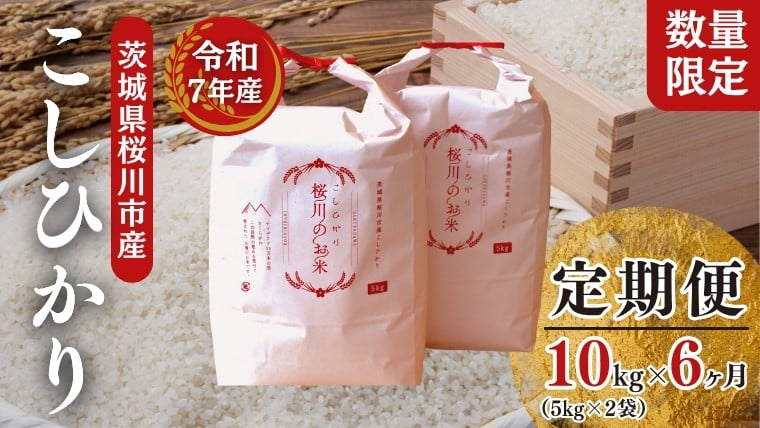
            《 6ヶ月 定期便 》【生産者支援】《令和7年産》新米 茨城県桜川市産 こしひかり 10kg ( 5kg × 2袋 ) × 6回 茨城県産 桜川 米 お米 白米 コメ ごはん 精米 コシヒカリ 国産 限定 銘柄米 [SC064sa]
          