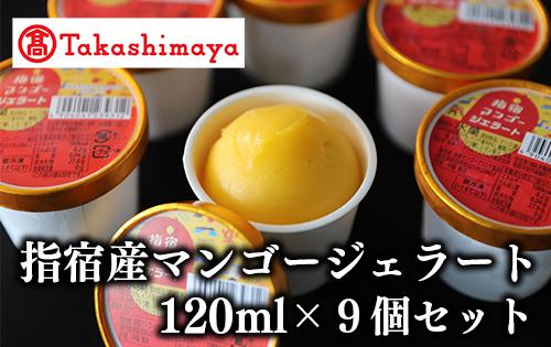 ＜高島屋選定品＞指宿マンゴージェラート9個セット(IB001-034/59D1953)