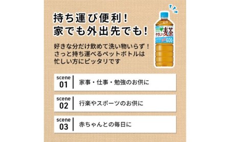 麦茶 定期便 3ヶ月 サントリー 2L 6本 ドリンク 麦茶