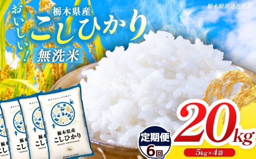 【栃木県共通返礼品】【先行予約】【令和8年度産】【定期6回】訳あり 栃木県産コシヒカリ  無洗米 5kg×4 20kg | 定期便 選べる ふるさと 納税 コシヒカリ とちぎの星 お米 精米 無洗米 ごはん ご飯 主食 日本米 kome 栃木県 共通返礼品 那珂川町 送料無料