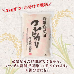  米 白米 特別栽培米 令和7年産 コシヒカリ 4kg 白米  sasakikoki003