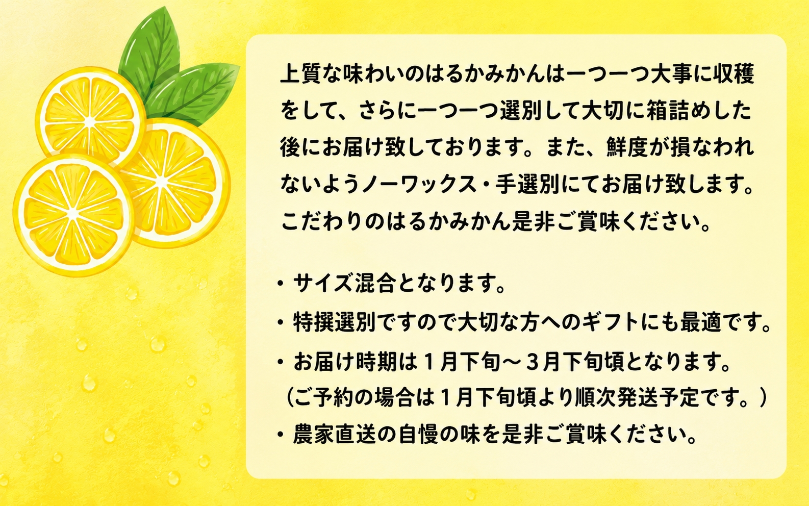 【先行予約】【人気柑橘】特撰はるか みかん約5kg+200g(傷み補償分) ※2027年1月下旬～3月下旬に順次発送予定 ※着日指定不可【ard250A】