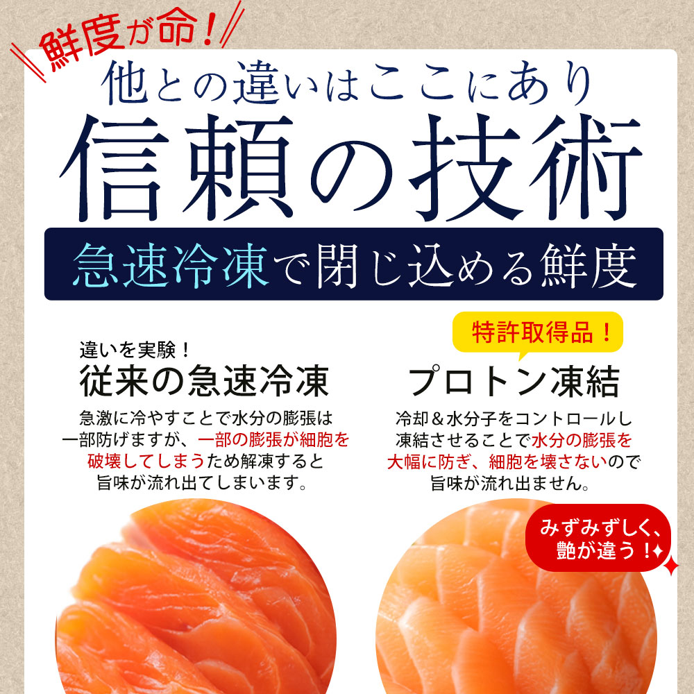 【ふるさと納税】 サーモン メルティーサーモン 500g 遂に登場！ 無添加 アトランティックサーモン [ 小分け 鮭 定期便 さけ サケ 海鮮 生サーモン 生食サーモン 人気 ランキング 三豊市 香