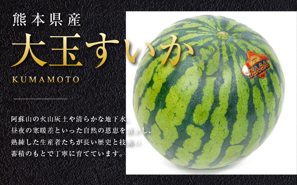 【2026年5月上旬発送開始】大玉すいか 1玉入り 3L以上 約8kg 