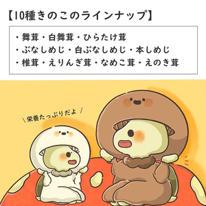 3個セットすっぽんキノコスープ すっぽんスープ スッポンスープ きのこスープ 料理 エキス 国産 グルメ 老舗 全国 取り寄せ 取り寄せグルメ コラーゲン 液体 美容 精力 効果 ギフト プレゼント 