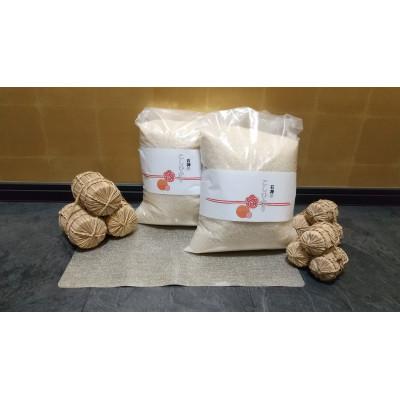 ふるさと納税 上越市 【先行予約】上越頸城産　「こしひかり」精米10kg(5kg×2袋)