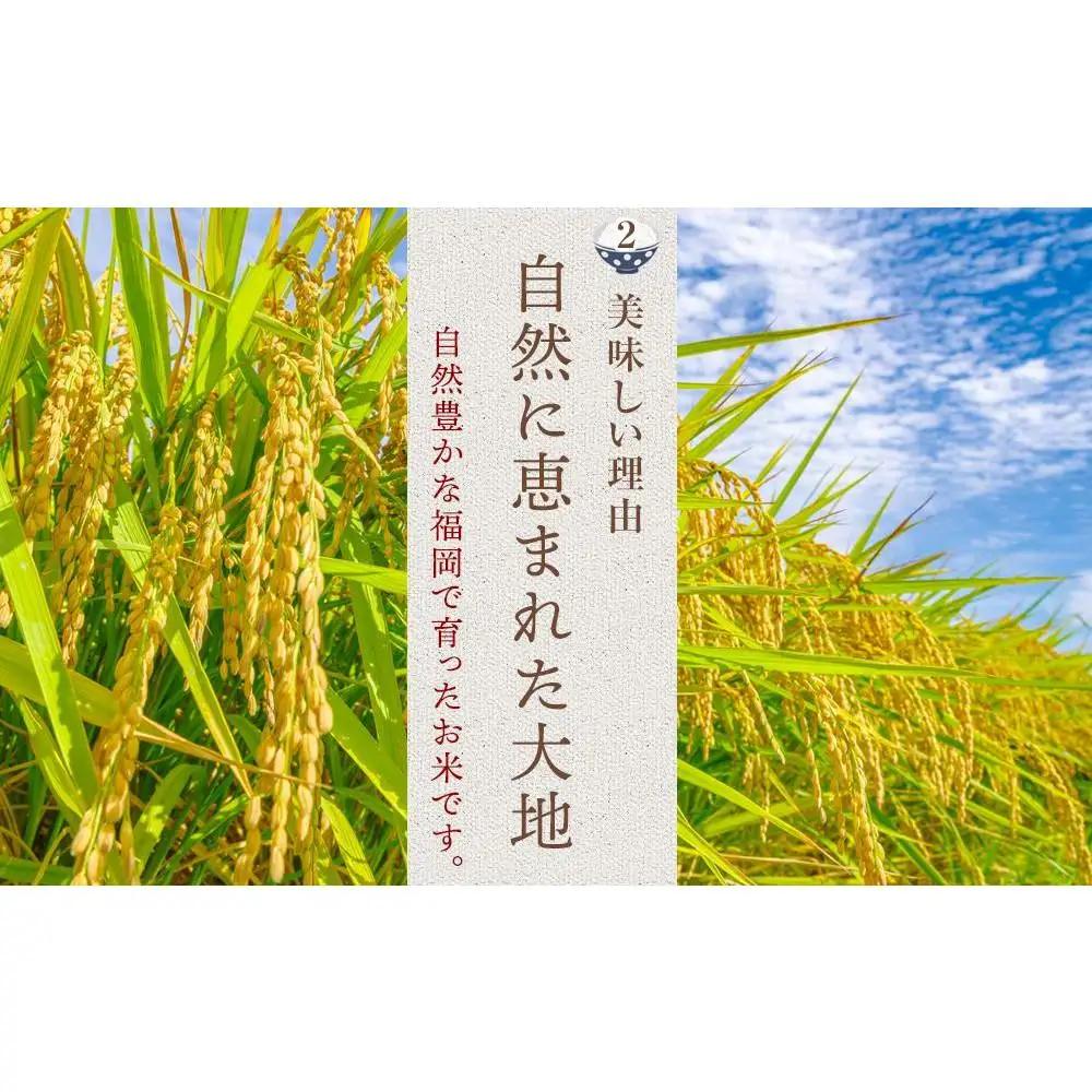 米【令和7年産】 夢つくし 5kg セット| 米 