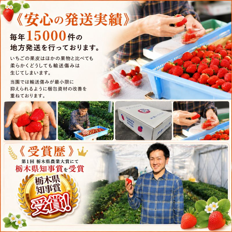 【先行予約】[数量限定] 貴重な12月発送！贅沢な栃木のいちご3種食べ比べセット 960g | とちあいか とちおとめ スカイベリー 食べ比べ3品種 960g｜20000円