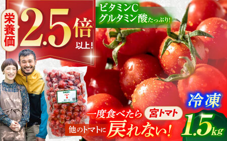 冷凍宮トマト　1.5kg / 冷凍 トマト とまと 野菜 冷凍野菜 ミニトマト / 諫早市 / 宮下農園[AHCG033]
