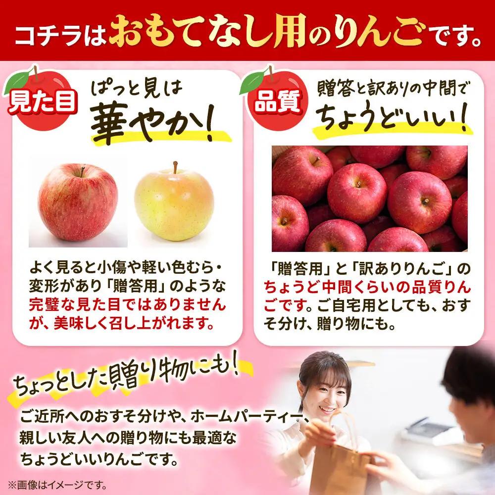 りんご 葉とらずサンふじ おもてなし用 約5kg【11月発送】りんご